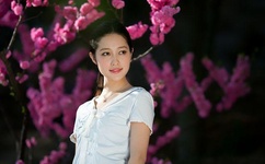 李宗?全集在线播放29集